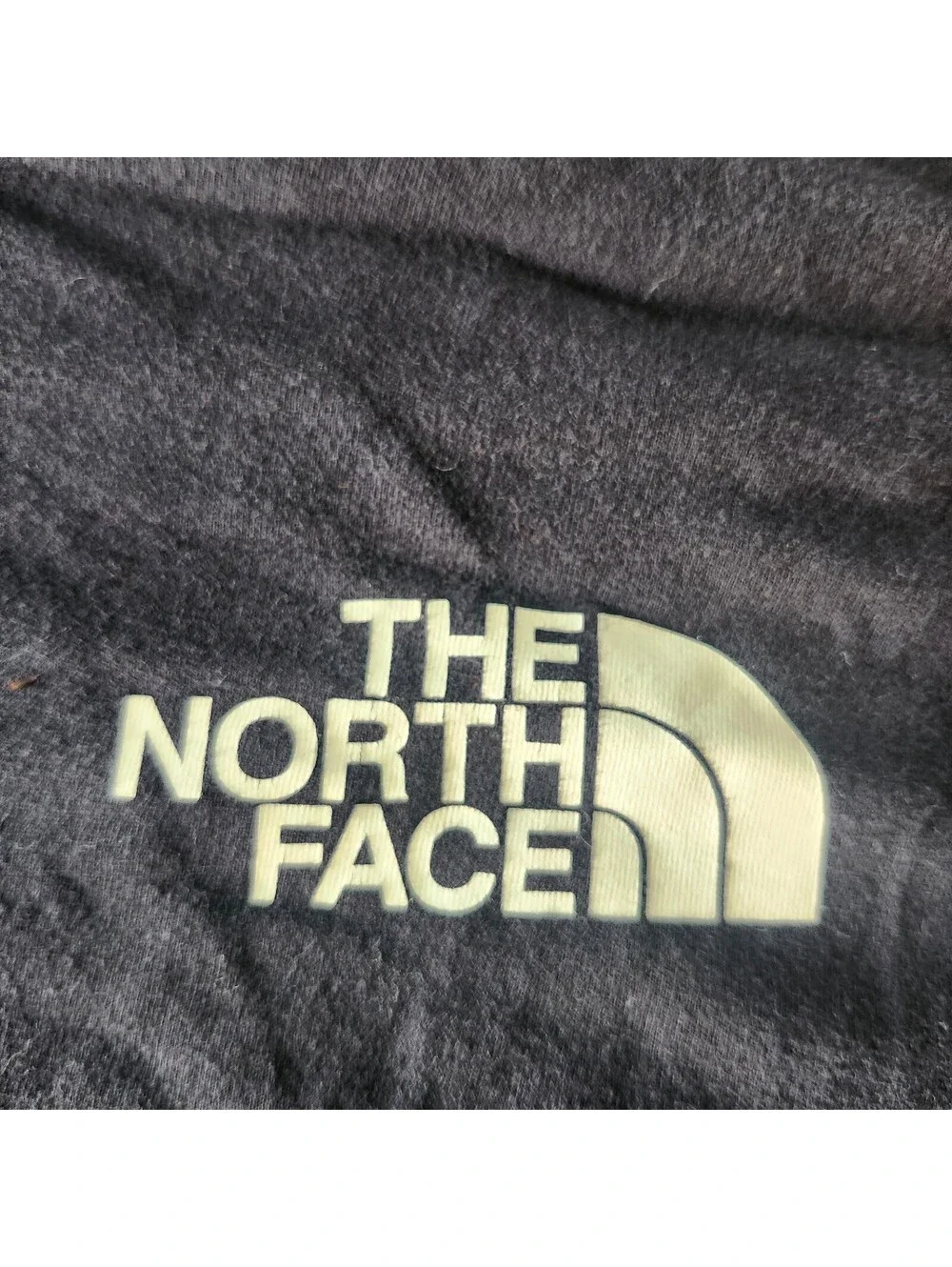 The North Face fair shows